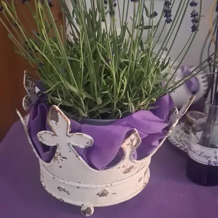 Alojamento de Acomodação e Pequeno-almoço Casa Rana