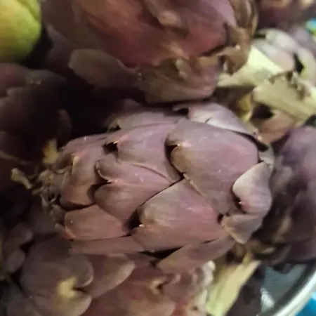 Alojamento de Acomodação e Pequeno-almoço Casa Rana