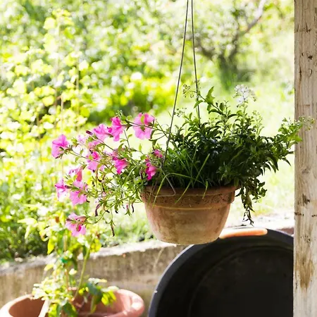 Casa Rana 4* Recanati