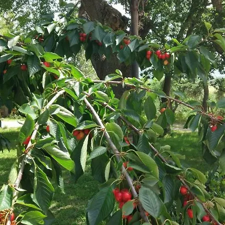 Casa Rana Alojamento de Acomodação e Pequeno-almoço Recanati