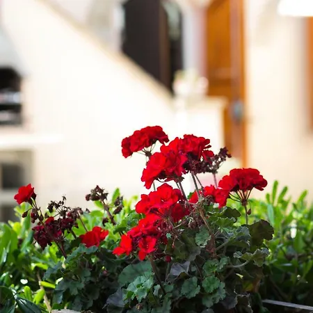 Bed and breakfast Casa Rana Recanati