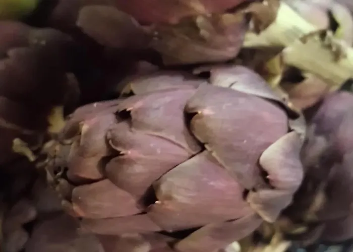 Bed & Breakfast Casa Rana